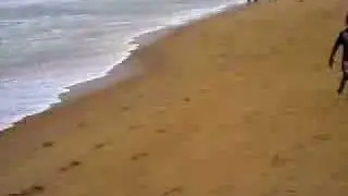 Fidjrose Beach Cotonou2005