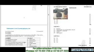 Grade 8 Natural Sciences Term 4 | Final Exam Part 1 of 2025