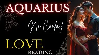 AQUARIUS - NO CONTACT LOVE READING 