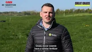 Alex Sheehan discusses the benefits of clover