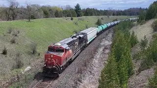 CN 2827 at Beare (APR 24/24)