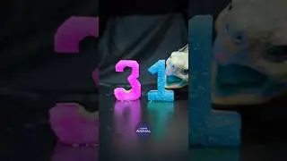 ASMR Mukbang Eating Pink & Cyan 31 🩷🩵 Turtle Tortoise