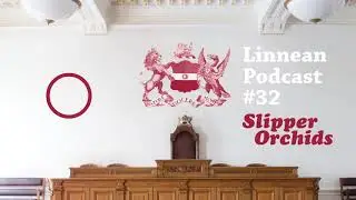 Linnean Podcast #32: Slipper Orchids