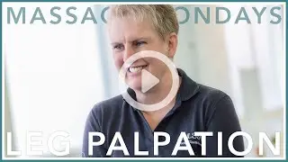 Massage Mondays - Leg Palpation - Sports Massage and Remedial Soft Tissue Therapy