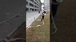H6 Dry Drill - Dividing a Line of Hose into Two Streams by NCDMB-OINL Firemen