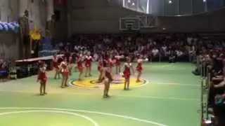 Muestra sheer dance mini American british 2012