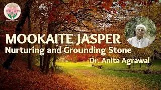 Mookaite Jasper - Nurturing & Grounding Stone | Heal and Ascend |