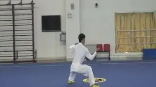 Taiji quan - Chen 36 (sinteza nouă)