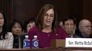 Sen. McSally Introduces Mike Liburdi to Senate Judiciary Committee