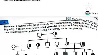 Mcqs biology class 11