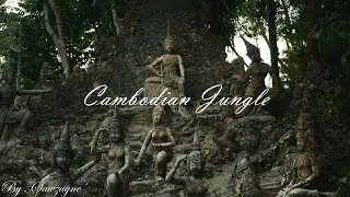 🗿 ~ Asian / Jungle Vibe Instrumental  