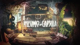 ДОСТАВКА ПОЧТЫ Pnevmo Capsula Domiki