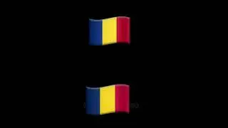 Smilar flag ☠️👍