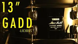 Steve GADD 13