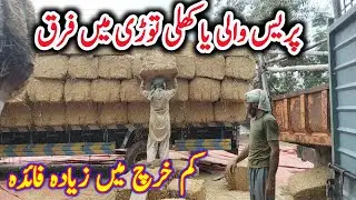 Benefits of wheat straw 🌾 /toori ka estmal /#shahmuqeemcattlefarm #bachrafarming #fattening #calves