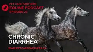 EP 25: Chronic Diarrhea in Horses: Causes, Diagnosis & Management | Pet Care Partners