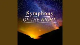 Firefly in the Dark