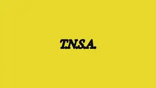 Little Jesus - T. N. S. A. (Official Lyric Video)