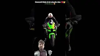 The Ninja ZX-10R: A Masterclass in Canyon Carving