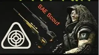 MY FIRST SNIPER MONTAGE , THE GOLD SAE SCOUT MONTAGE