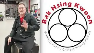 What Is Choy Lee Fut?
