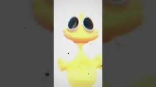 Novos bot friends duck-bot dog-bot turtle-bot