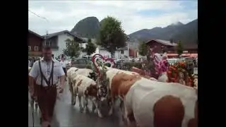Alm abtrieb, irgendwo in &Ouml;sterreich 2011 Upscale Video 480p zu 1080p