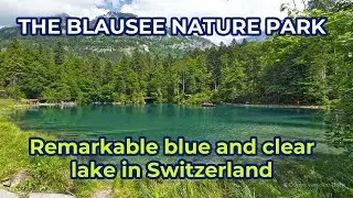 THE BLAUSEE NATURE PARK - Remarkable blue and clear lake in Switzerland