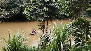 Dangerous River Crossing