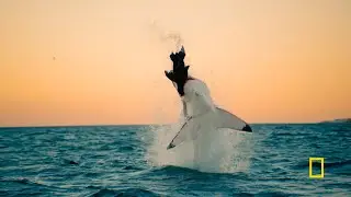 National Geographic 