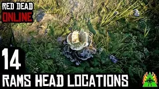 Red Dead Redemption 2 Online - RAMS HEAD LOCATIONS