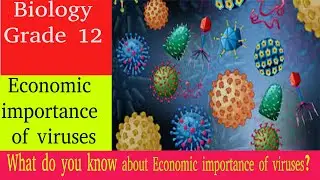 Biology Grade 12 unit 2: Economic importance of viruses