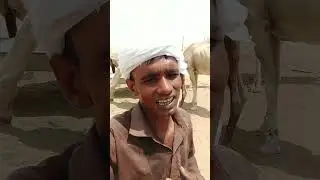 মরুভূমির যে হারে গরম আর মরে যাইতে ইচ্ছা করে
