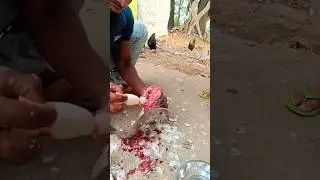 Fish Cutting Video// machli ke andar se kya nikla? #rkji #fishcutting  #shorts