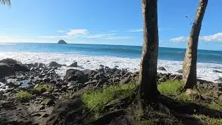 Anse Couleuvre Beach Walk, Martinique 🇲🇶 | Tropical Nature & Ocean Sounds (4K)