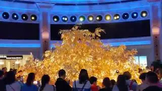 MACAO CASINO - Golden Tree Show