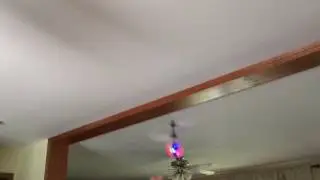 Drone Ball