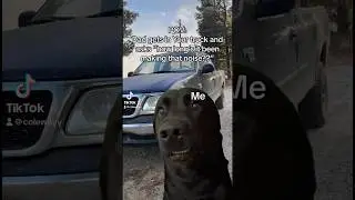 😬😅 #bluecollar #farmer #harvest #ford #truck #doggo #meme #arkansas #ricefarmer #crop  #coleway