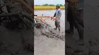 Traktor sawah mada mapan belok main satu tangan 203 #traktorsawah #tractor