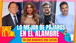 ¡Reviven video de Julio Iglesias BESANDO a Thalía! | Lo Mejor de Pájaros 16/01/2026
