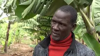 Dziko la Mkaka ndi Uchi - 7 July 2022