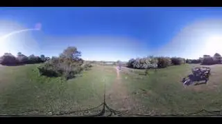 Brahma Duet Sample 360 video 4k footage