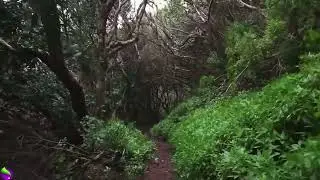 Nature Break (Ep 8) Bible Verse 4 (Stop & Consider God's Wonders)
