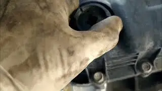 2011-2016 Kia optima (transmission fluid drain & refill).... easy.. easy