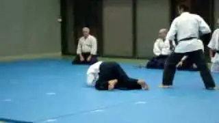Démonstration Ki Shin Tai Jutsu à Longvic