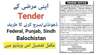 how to search / find tenders in pakistan