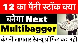 12 का पैनी स्टॉक,क्या बनेगा multibagger?प्रॉफिट revenue लागतात बढ रहे है 