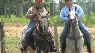 PERFIL AGROPECUARIO Inseminacion en Cabras Elida Peña