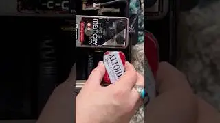 Pedalboard Build ASMR #pedalboard #ambientguitar #asmr
