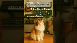 Relaxing Sleep Music ดนตรีเข้าสู่การนอนหลับ ผ่อนคลายจิตใจ - Relax365 Channel